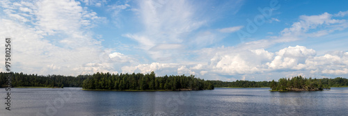 panorama of forest