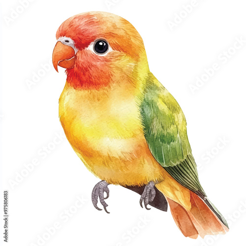 cute Gold Lovebird watercolor clipart illustration isolated