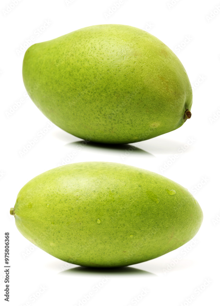 mangos on a white background mangos on a white background