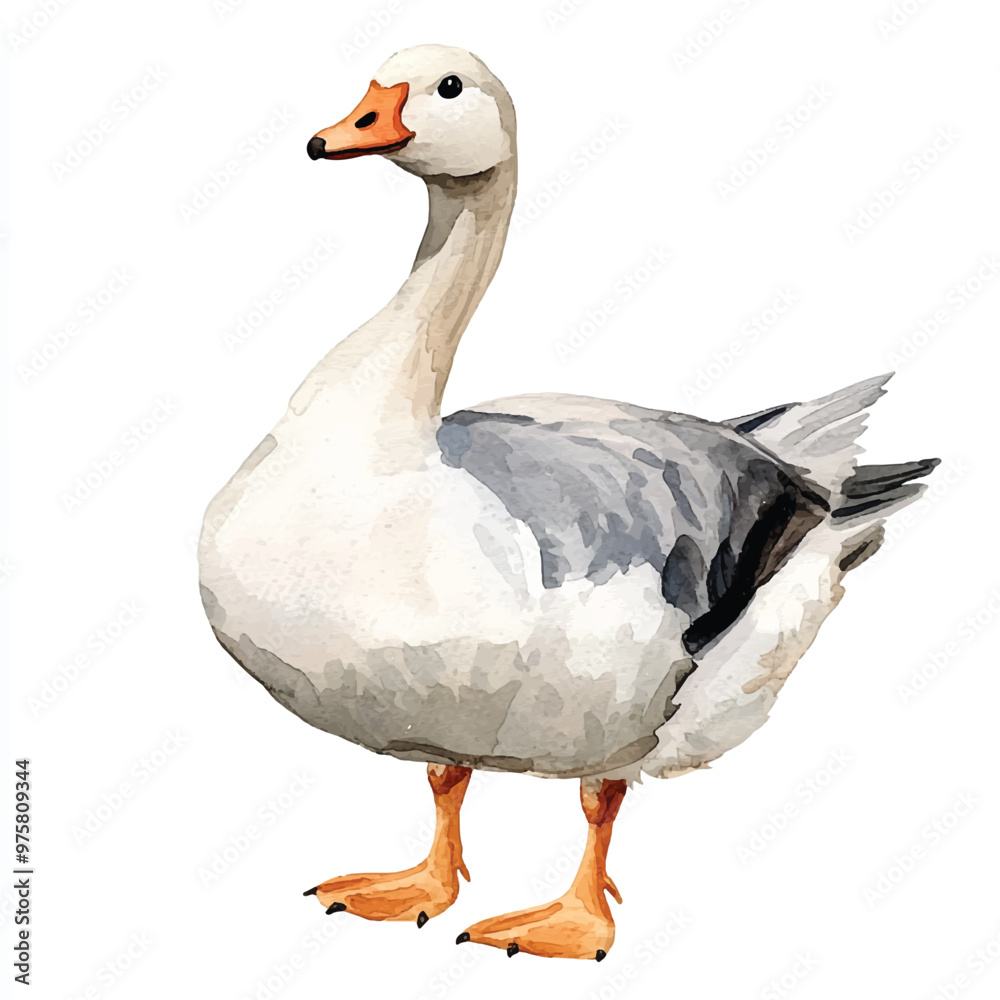 cute Goose watercolor clipart illustration isolated cute Goose watercolor clipart illustration isolated