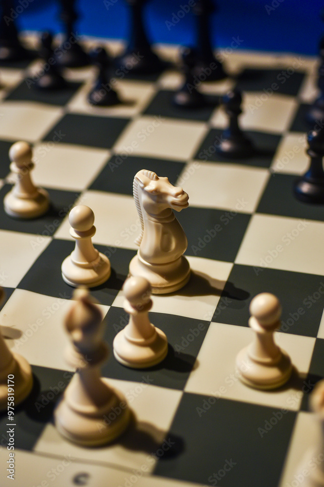 chess pieces on a chessboard chess pieces on a chessboard