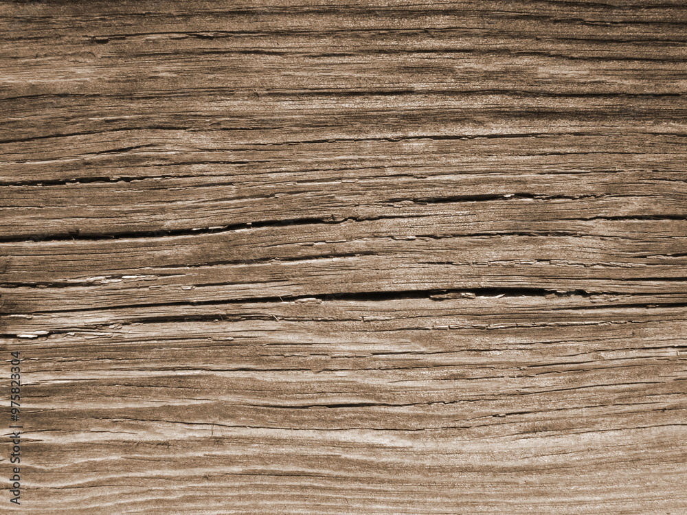 Fototapeta premium dark brown texture of natural old wood for backgrounds and interior monochrome