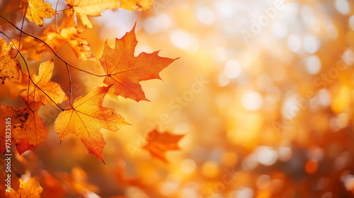 “Orange fall leaves in a park, illuminated by warm sunlight, creating a vibrant and serene autumn natural background.”