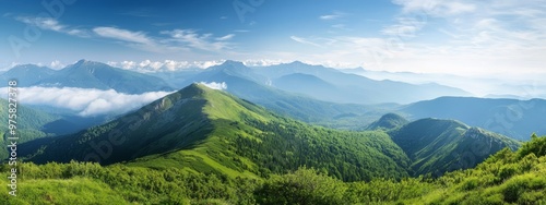 green foreground, blue sky with clouds