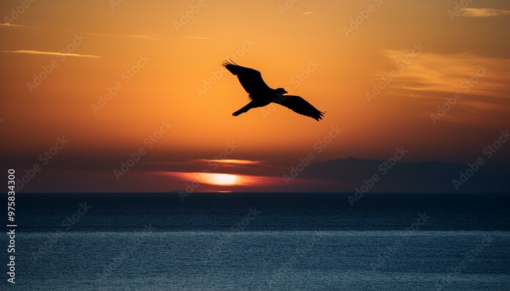Fototapeta premium 地平線の夕陽と鳥のシルエット