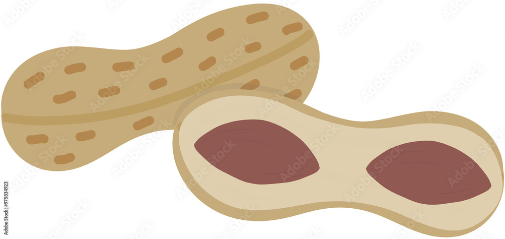 Obraz premium 견과류 땅콩