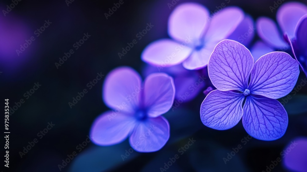 A lush green field teeming with purple flowers A lush green field teeming with purple flowers