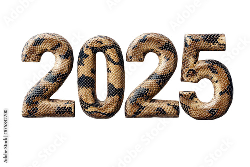 number 2025 on transparent background, made of snake skin texture. new year celebration concept