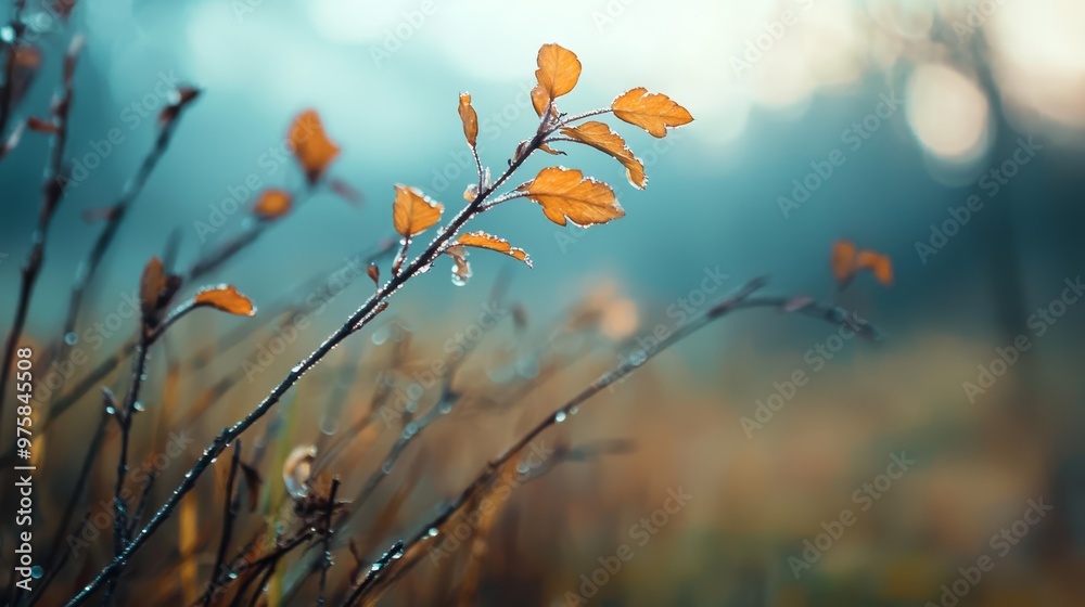 A macro shot of a plant, adorned with dew-kissed drops, against a softly blurred backdrop of grasses and trees A macro shot of a plant, adorned with dew-kissed drops, against a softly blurred backdrop of grasses and trees