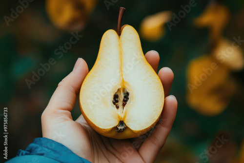 A close-up of a hand holding a halved yellow pear, showcasing its internal seed structure and fresh, juicy flesh, symbolizing natural simplicity and health. photo