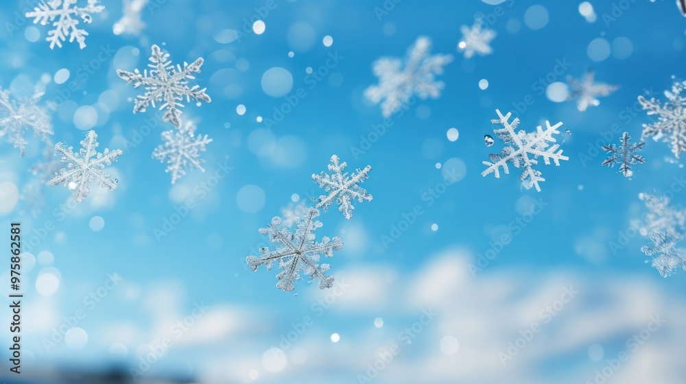 Close-up photo of snowflakes Close-up photo of snowflakes