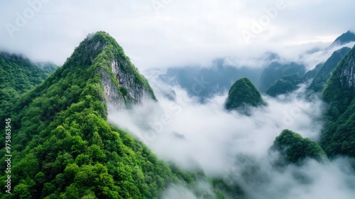 Beautiful high-angle view of lush green mountains covered in fog, offering a serene and peaceful natural landscape.