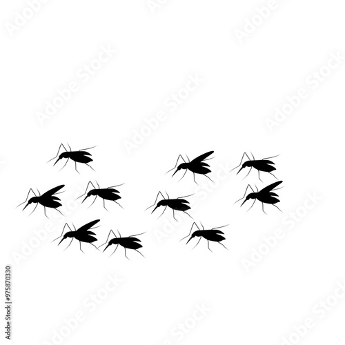 Swarm Of Flying Mosquitoes