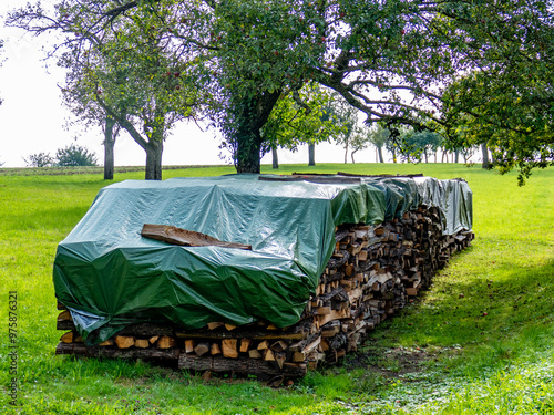 Gestapeltes Brennholz im Freien photo