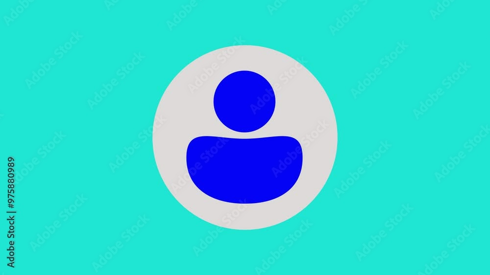 User profile account. Profile icon animation. User approving and disapproving icon animation. 4k video. User profile account. Profile icon animation. User approving and disapproving icon animation. 4k video.