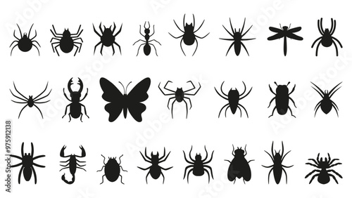 Black insects icons. Different insect silhouettes, buds spiders butterfly dragonfly scorpion tarantula. Nature elements, seasonal neoteric vector characters