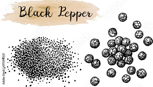Black pepper ink sketch.