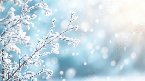 A peaceful winter landscape with snow-covered branches and a soft blue horizon, capturing the essence of the holiday season.