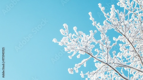 A serene winter landscape featuring snow-covered branches against a clear blue sky, perfect for seasonal or holiday designs