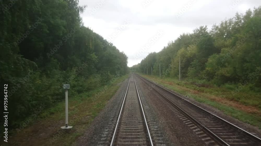 The rails run away into the distance. The Russian Railway. Video footage from the last carriage of the train. Moving backwards. A summer or autumn cloudy day. The rails run away into the distance. The Russian Railway. Video footage from the last carriage of the train. Moving backwards. A summer or autumn cloudy day.