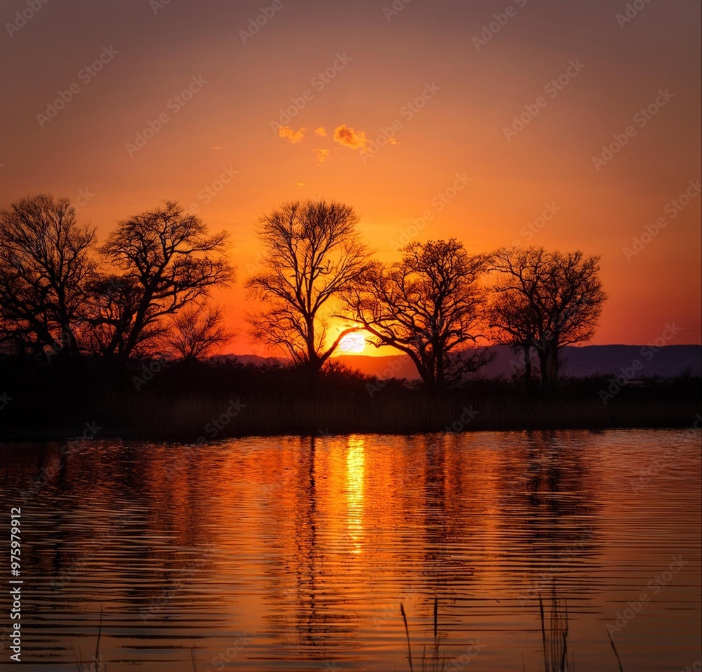 At dusk in the landscape and trees, you can enjoy a full view of the orange sunset over At dusk in the landscape and trees, you can enjoy a full view of the orange sunset over