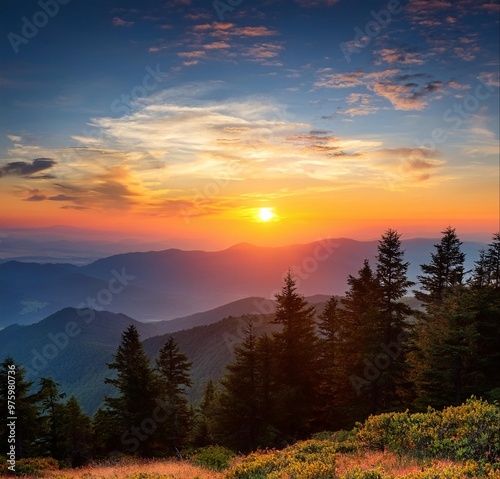 Firefly At dusk in the landscape and trees, you can enjoy the full view of a beautiful sunset scene 