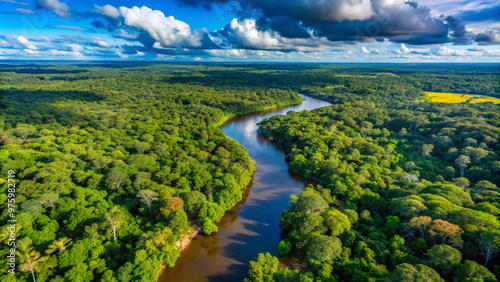 Drone shot displaying the lush greenery of the Amazon forest, emphasizing its vastness and ecological richness. 