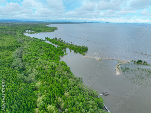 Aerial view mangrove forest ecosystem. Economic value in carbon credit, ecosystem service, and climate resilience. Conservation effort long-term coastal community protection. Mangrove tree capture CO2 photo