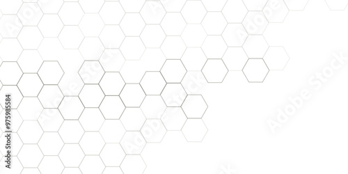 Abstract white background with hexagon and hexagonal background. Luxury white pattern with hexagons. abstract 3d hexagonal background with shadow. 3D futuristic abstract honeycomb mosaic background.