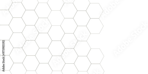 Abstract white background with hexagon and hexagonal background. Luxury white pattern with hexagons. abstract 3d hexagonal background with shadow. 3D futuristic abstract honeycomb mosaic background.