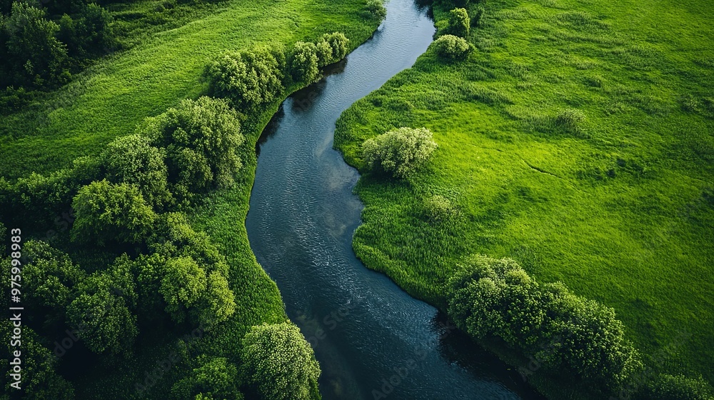 Aerial View of a Winding River Through Lush Green Foliage Aerial View of a Winding River Through Lush Green Foliage