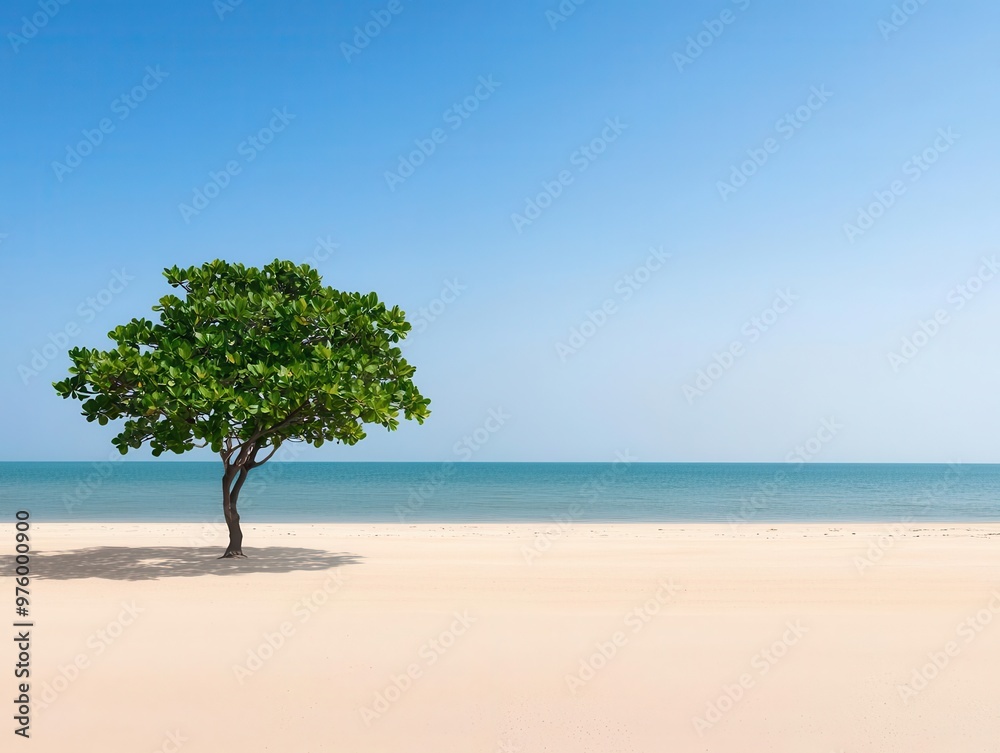 A single tree silhouette with delicate branches, its shadow creating soft waves on an empty beach tree silhouette, shadow, minimalist beach A single tree silhouette with delicate branches, its shadow creating soft waves on an empty beach tree silhouette, shadow, minimalist beach