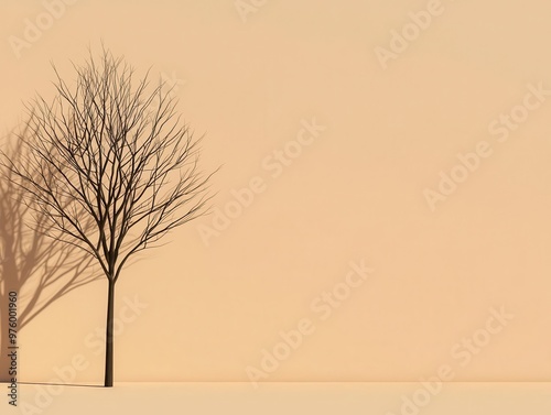 A simple, stylized tree with bold lines, casting a sharp shadow on a smooth, flat surface stylized tree, shadow, minimalist design