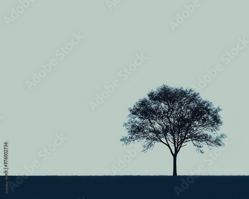 A lone tree in silhouette, its shadow casting soft, abstract shapes on the ground in a minimalist style tree silhouette, shadow, minimalist