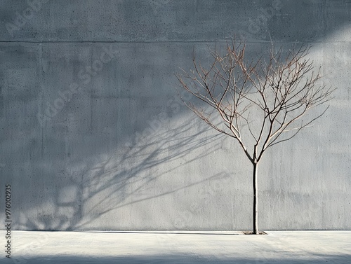 A simple, stylized tree silhouette, casting a bold, geometric shadow on an urban concrete surface tree silhouette, shadow, minimalist urban