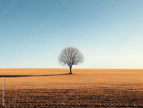 A solitary tree silhouette standing in an empty field, casting a long shadow in the midday sun tree silhouette, shadow, minimalist landscape