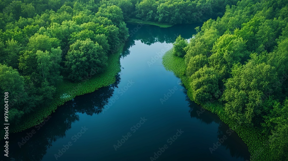 Aerial View of a Winding River Through a Lush Forest Aerial View of a Winding River Through a Lush Forest