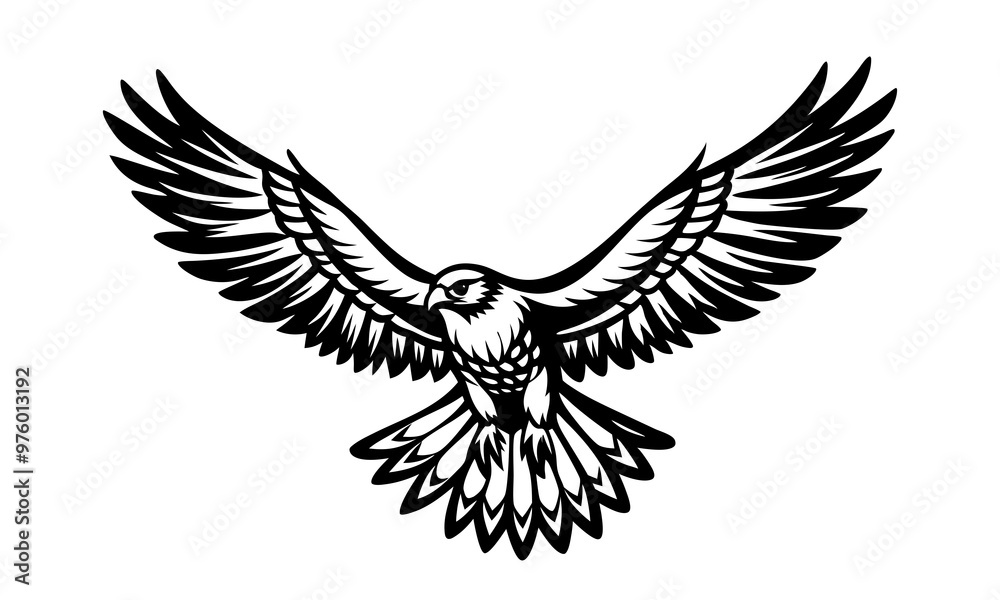 hawk flies with its wings spread, black silhouette on a white background
hawk flies with its wings spread, black silhouette on a white background