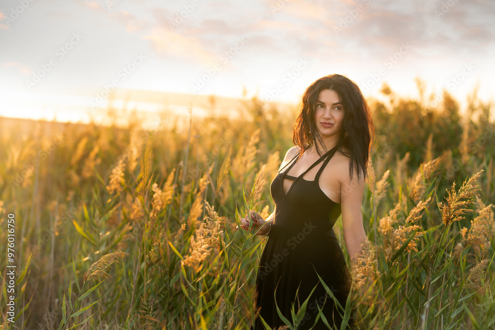 Girl with temp curly hair in a short dress among the grass on the bank of a pond at sunset. happy emotions. Girl with temp curly hair in a short dress among the grass on the bank of a pond at sunset. happy emotions.