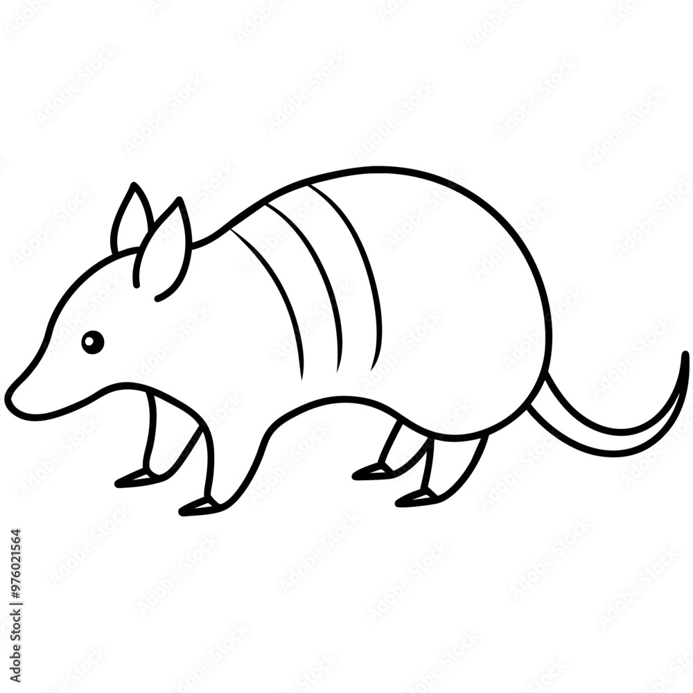 Fototapeta premium High-Quality Armadillo Vector Graphics for Your Designs