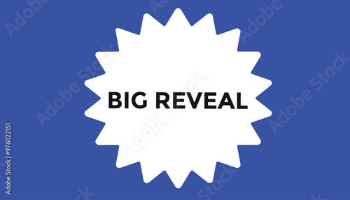 Big reveal button web banner templates. Vector Illustration 
