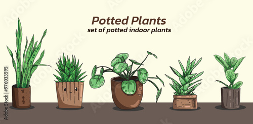 A set of potted indoor plants. Vector illustration on a transparent backgroundIllustrations set of home decorative plants. pictures isolate on white. Green plant for home, floral flower and houseplant