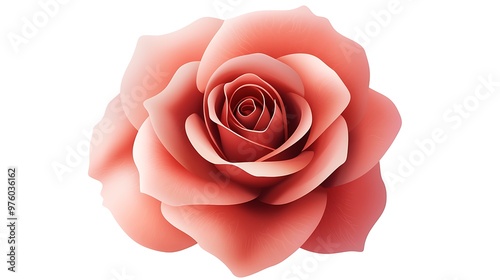 Elegant Vector Rose with Simple Petal Shapes on White Background