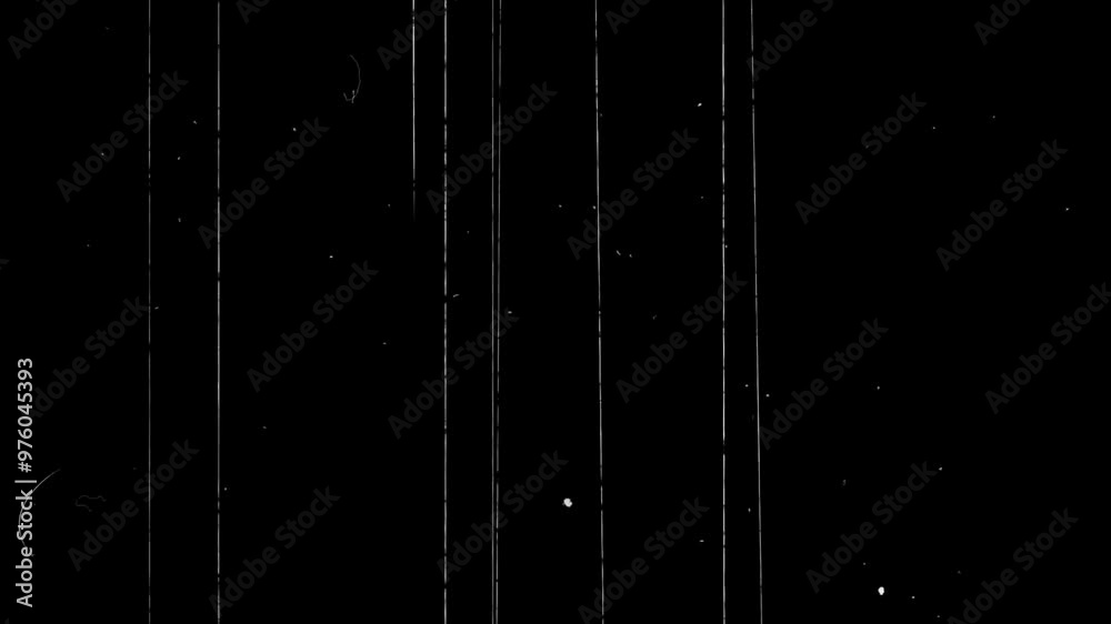Defects and interference of the video signal. The effects of noise and ...