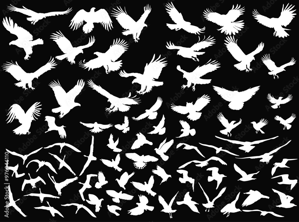 huge set of eagle silhouettes isolated on black huge set of eagle silhouettes isolated on black