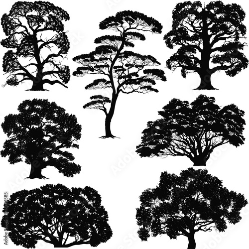 isolated on white lush seven trees
