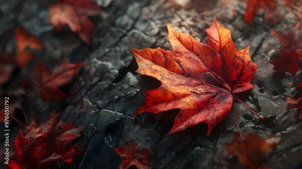 How beautiful are the red-golden autumn leaves, autumn, cold weather, rainy weather