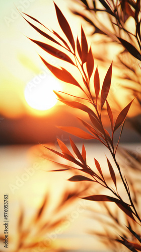 Sunset In Valley
