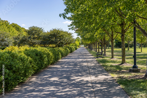 alley in the park