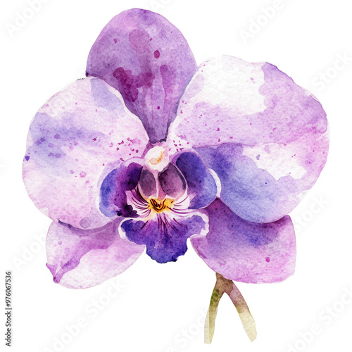A beautiful watercolor illustration of a vibrant orchid flower showcasing delicate petals and vivid purple hues., isolated on a transparent background.